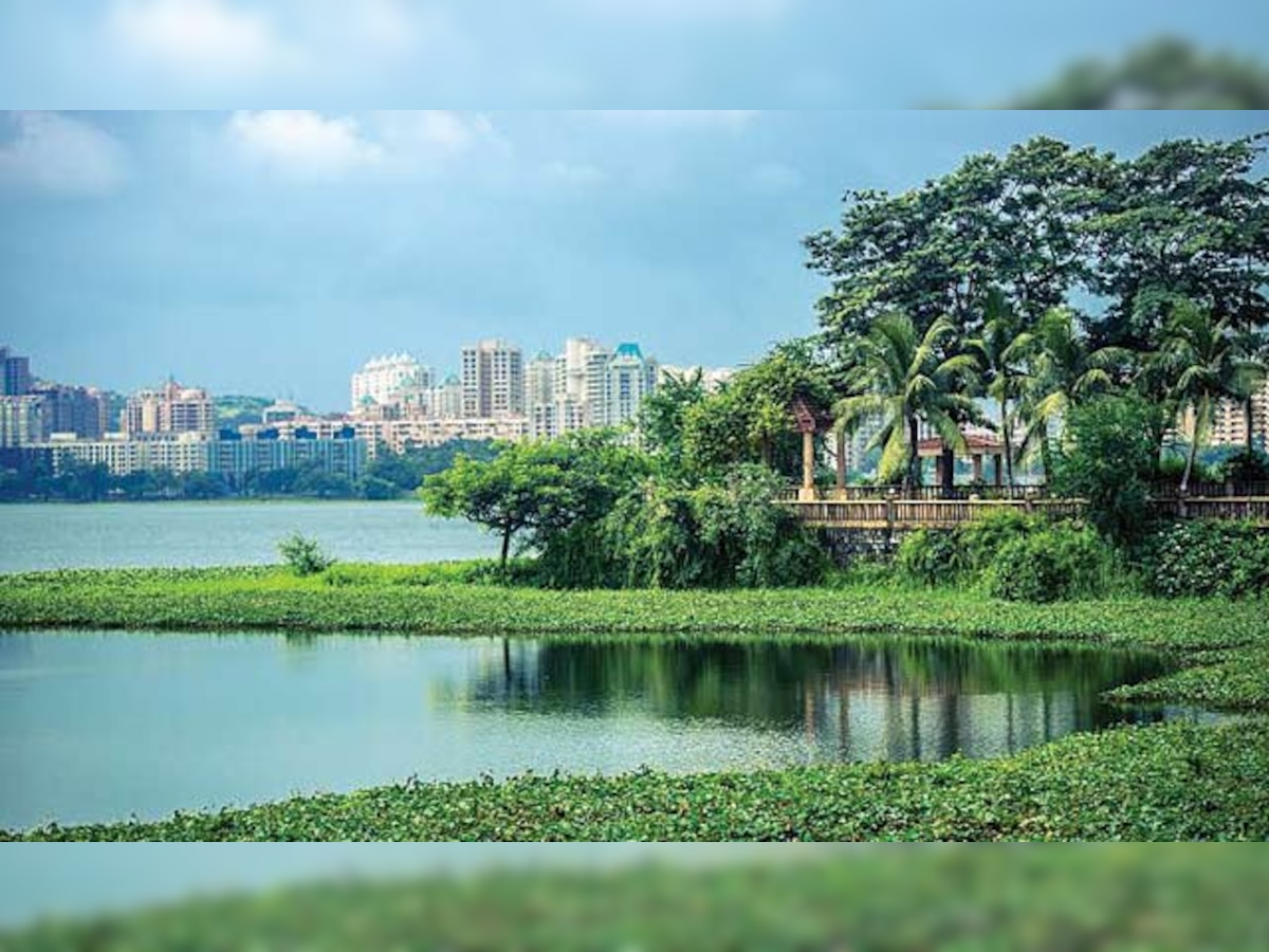 BMC unveils plan to revive Powai lake by 2019