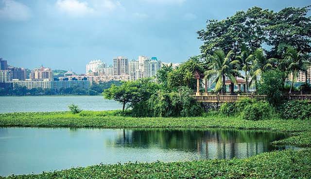 BMC unveils plan to revive Powai lake by 2019