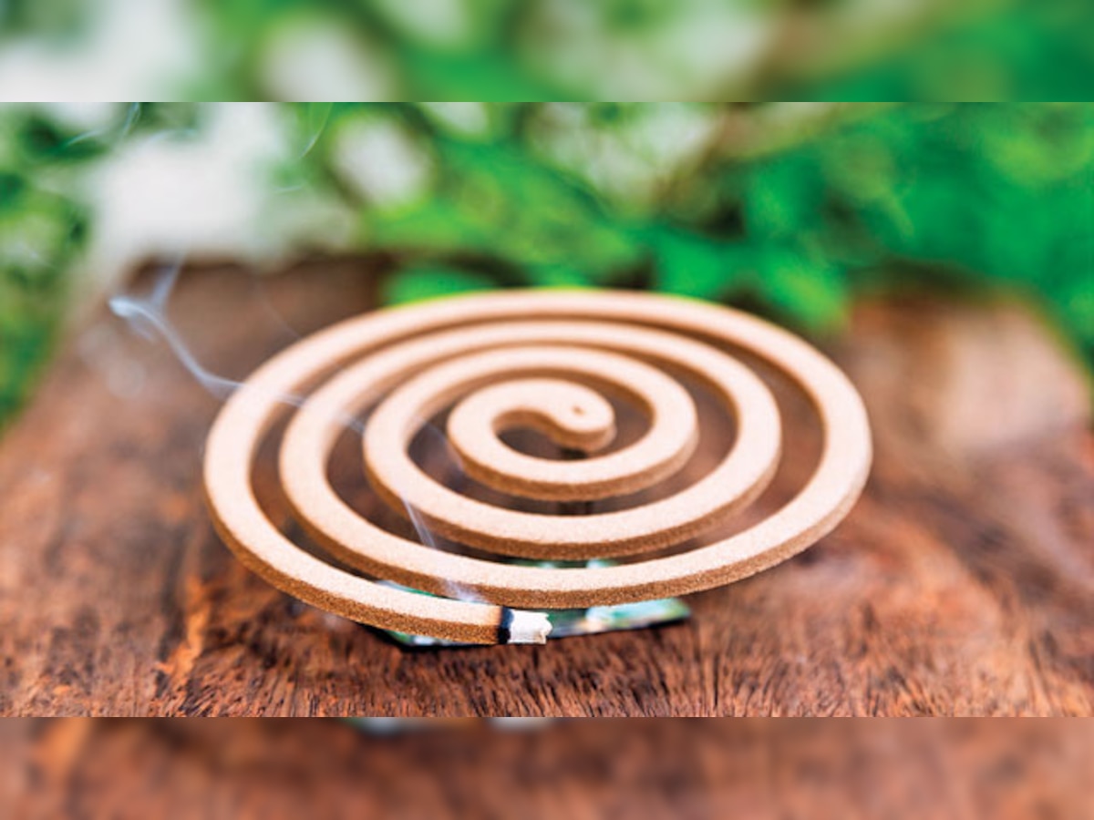 A mosquito coil equals 57 cigarettes: Dr Sujeet Rajan