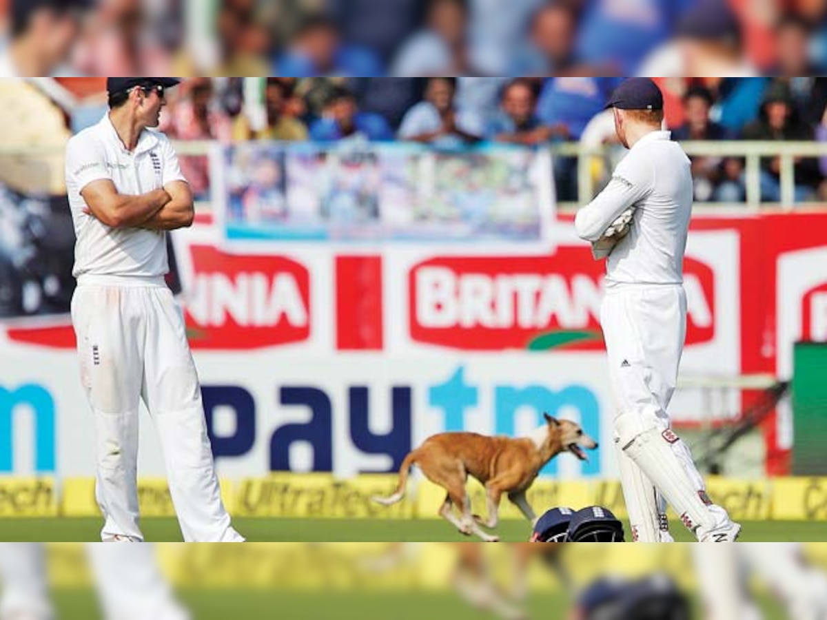 India v/s England: Vizag Vibes – Dog forces early tea