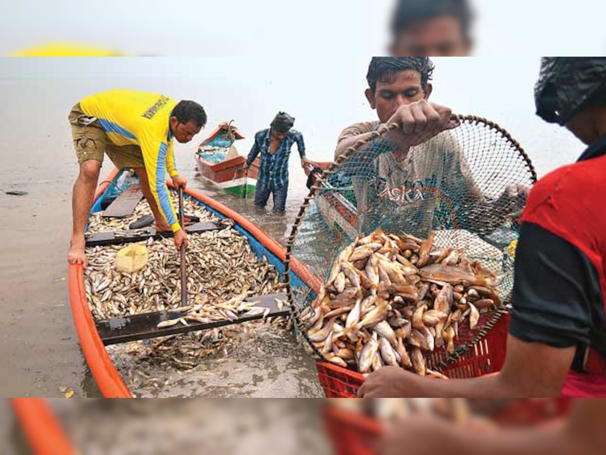 Fishermen plan nationwide protest against Sagarmala project