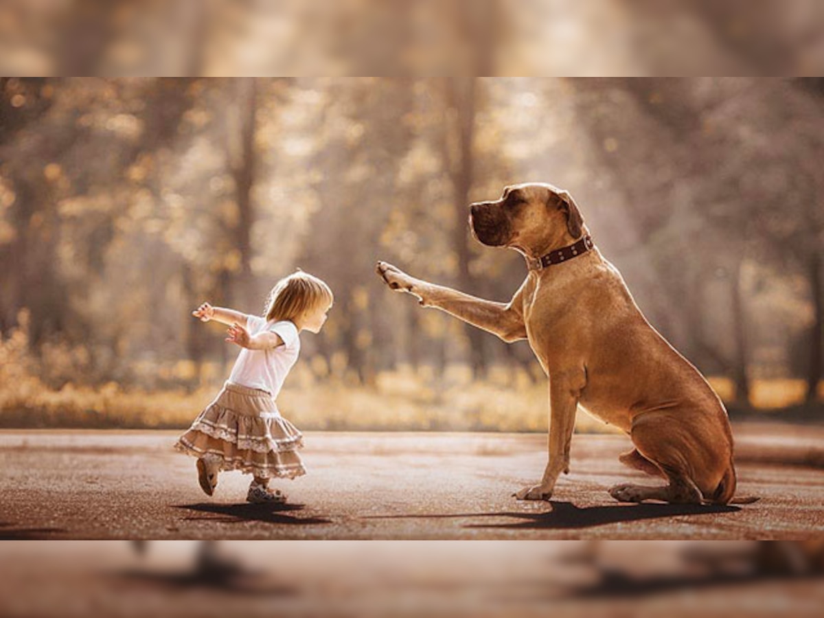 Photographer captures the wonder of kids and their big, happy dogs