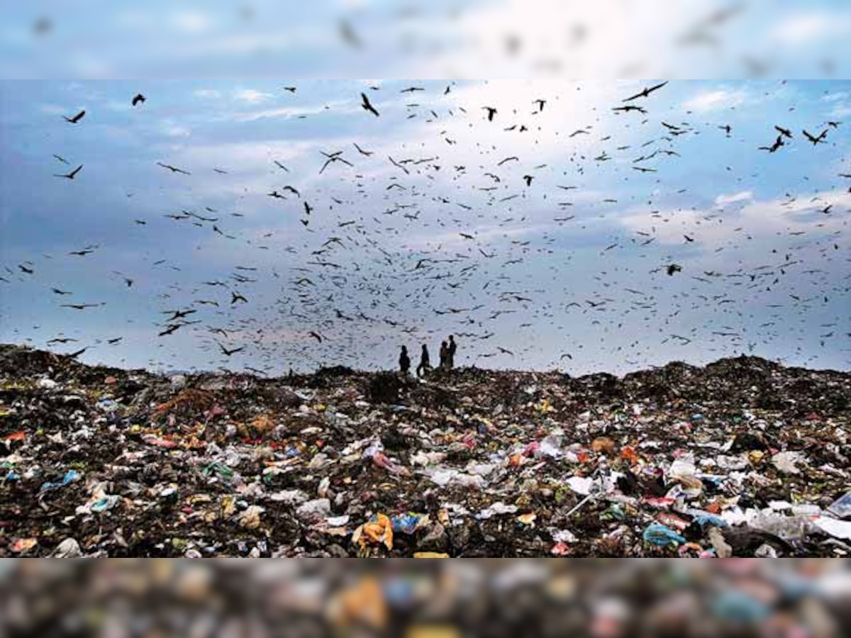 Rs 5 crore marked to develop Bhalswa landfill 