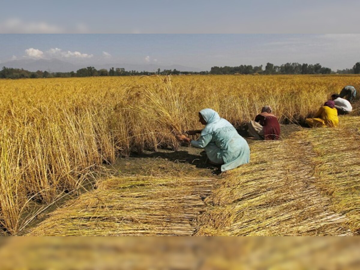 Madhya Pradesh plans to develop 1100 'climate-smart' villages