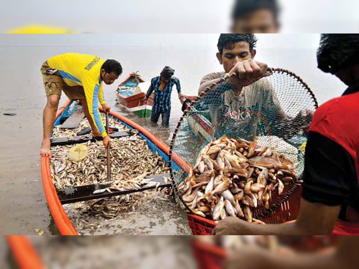 Pakistan arrests 66 Indian fishermen for 'illegal fishing'