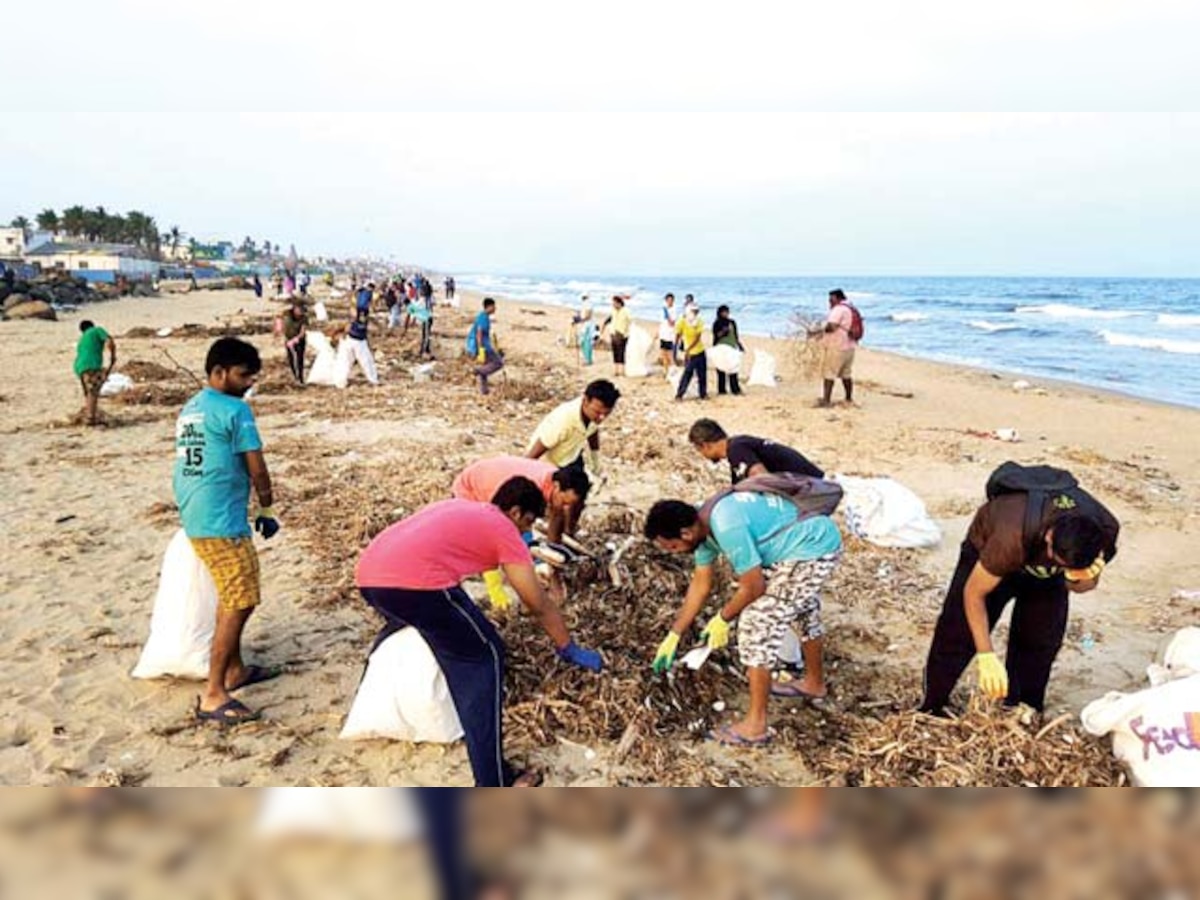 Chennai clears six tonnes of trash to welcome Olive Ridleys