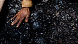 Coal imports fell by 25% to 14.31 MT in December
