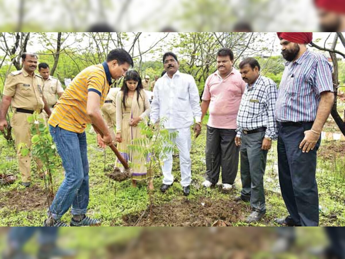 Maharashtra sets itself an ambitious target: 50 crore more trees in three years