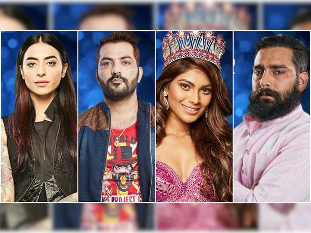 Bani, Lopa, Manu or Manveer - Who deserves to win Bigg Boss 10? Ex-contestants pick sides!