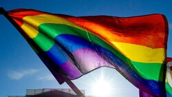 Same-sex marriage legalisation may cut teen suicide rates in US 