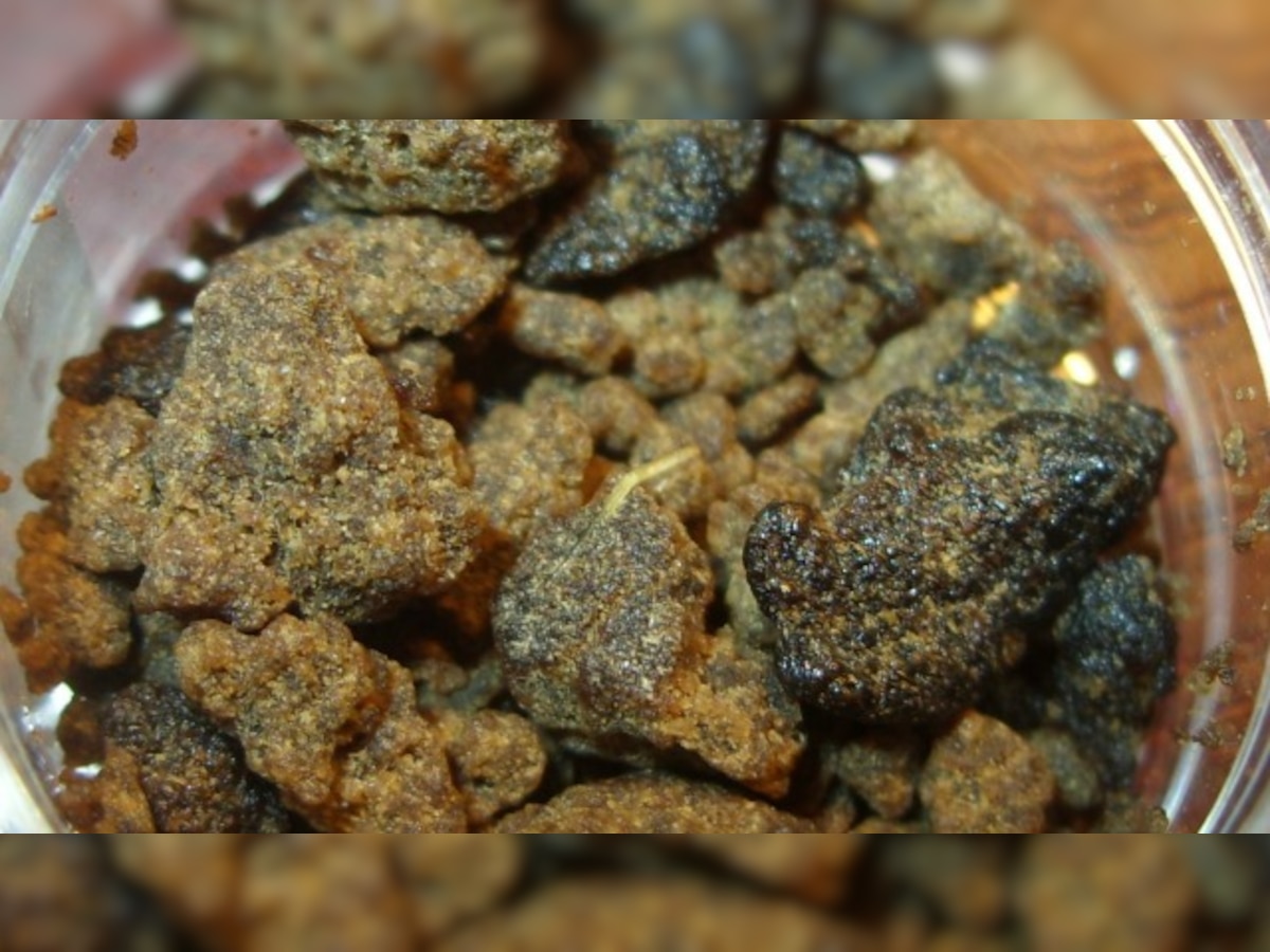 InstaCharas: Here's how hash is being sold in Himachal Pradesh via Instagram