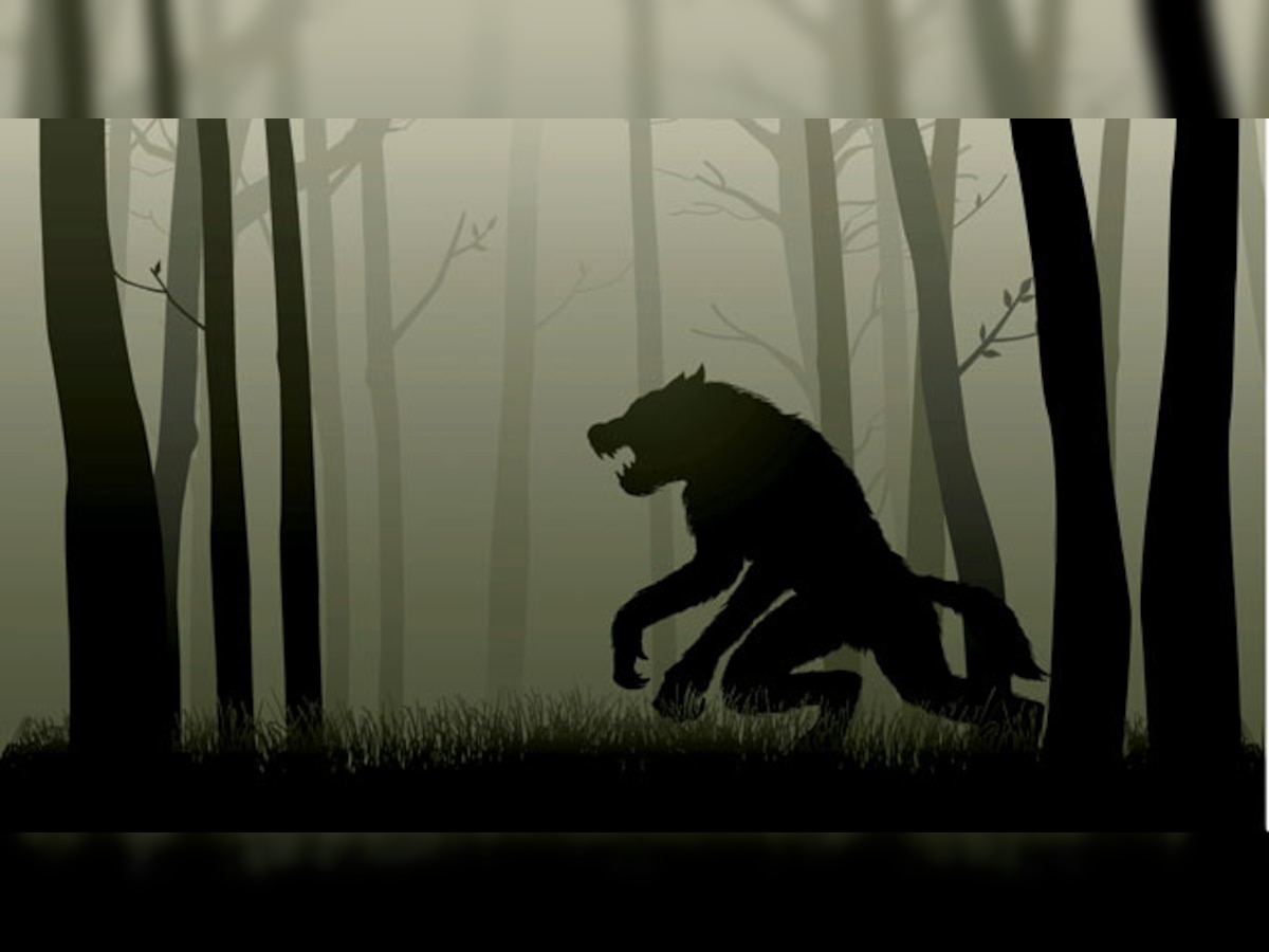 Werewolf myths that morphed into folktales, movies