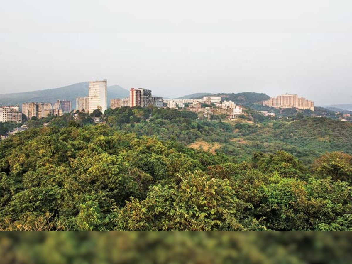 Aarey case: Forest dept seeks more time