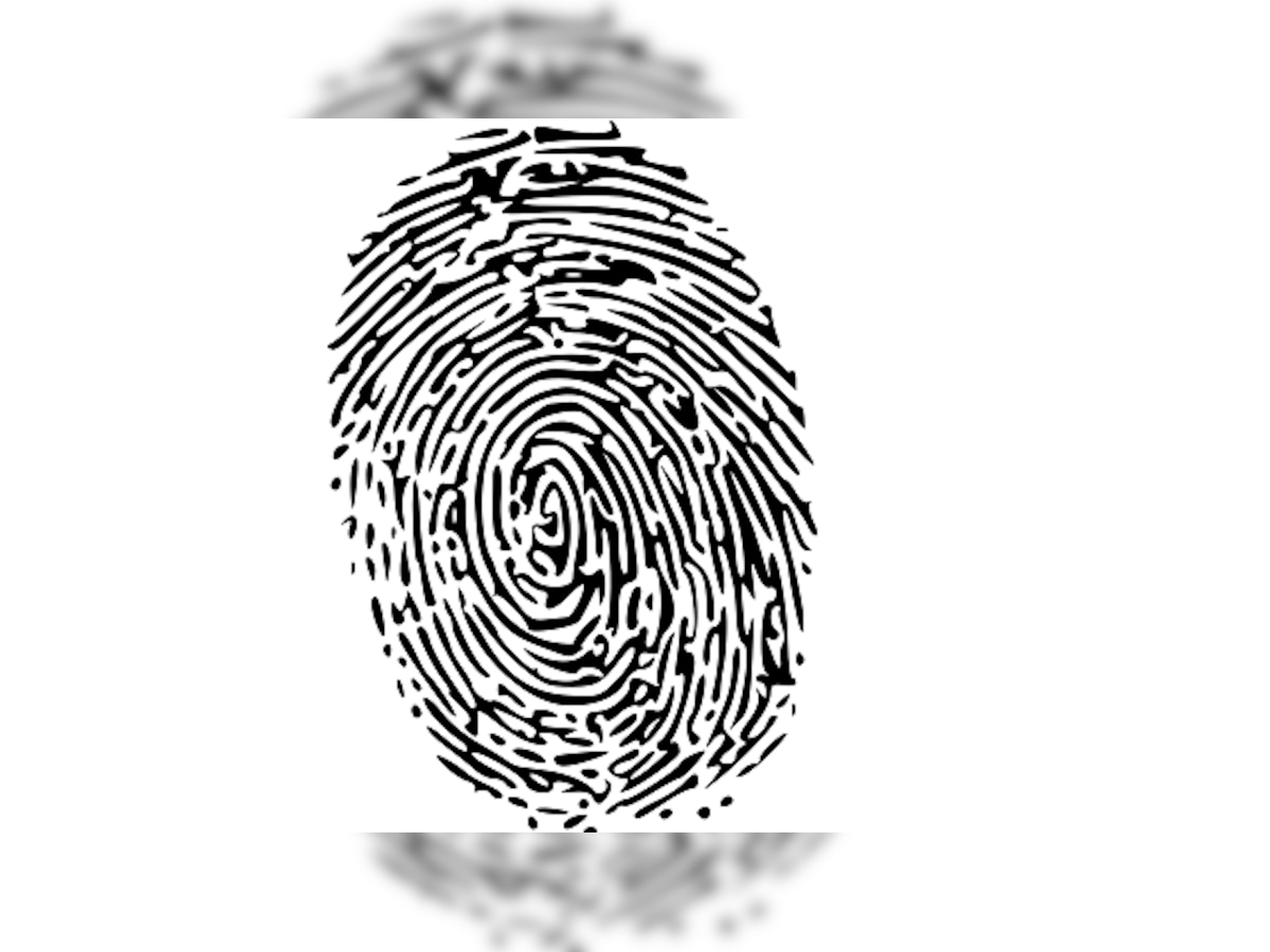 Paper 'fingerprints' can prevent forgery of documents