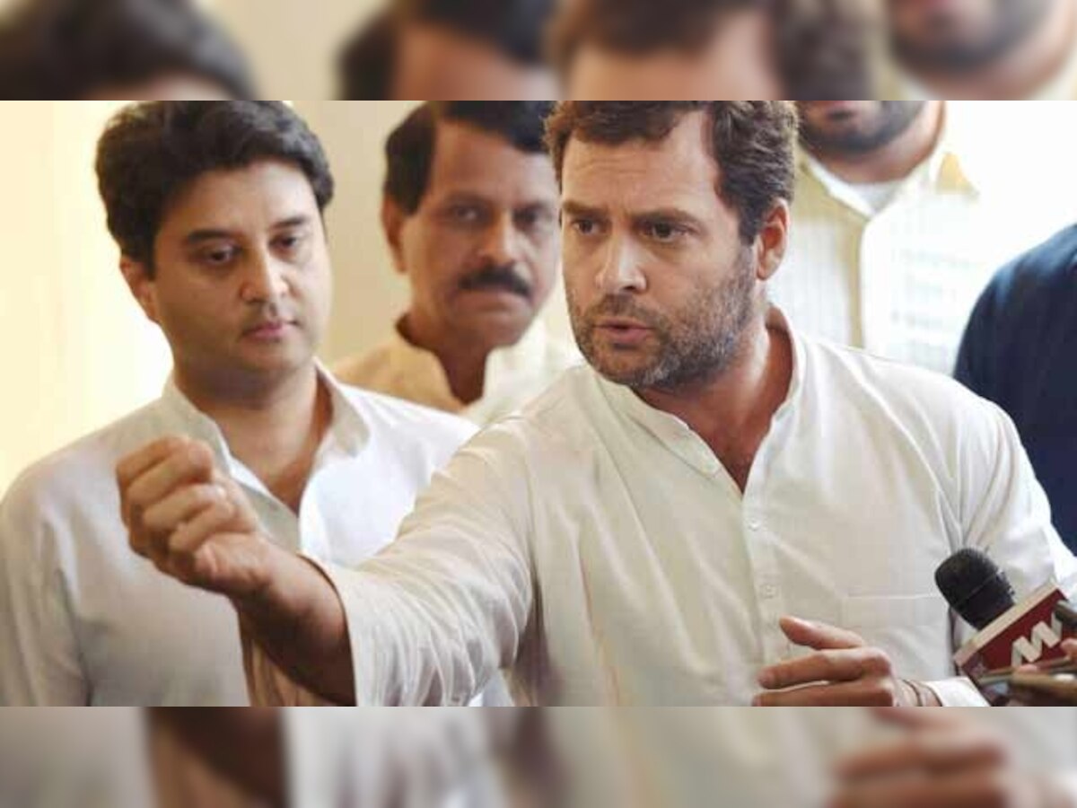 Youth Congress activists slaughter calf in Kerala, red-faced Rahul Gandhi calls incident 'barbaric'
