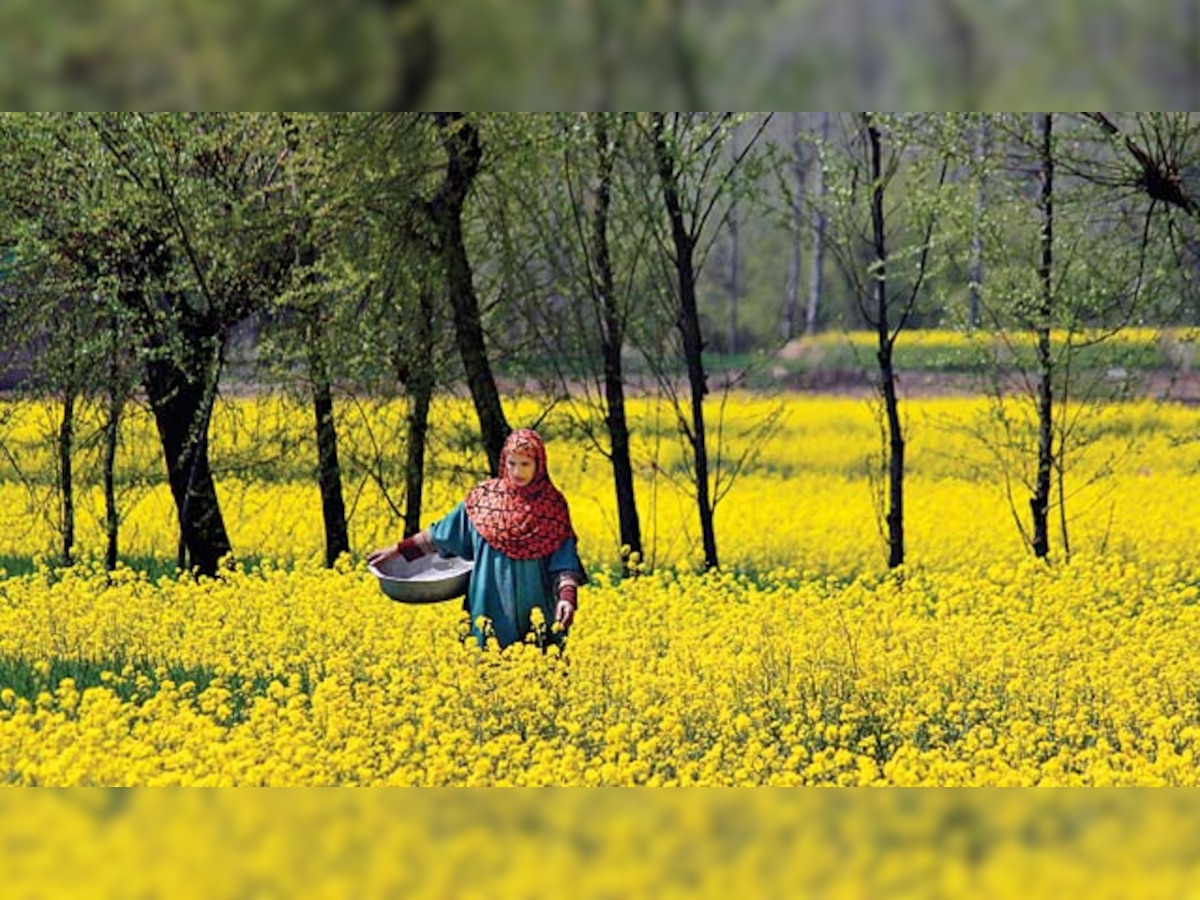 Kashmiriyat stands for a life of care, warmth and peace