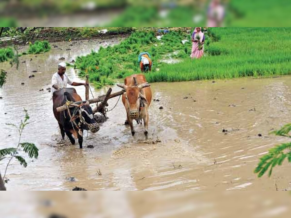 UP: Farmers taking help of social media to seek redressal of their problems, says minister