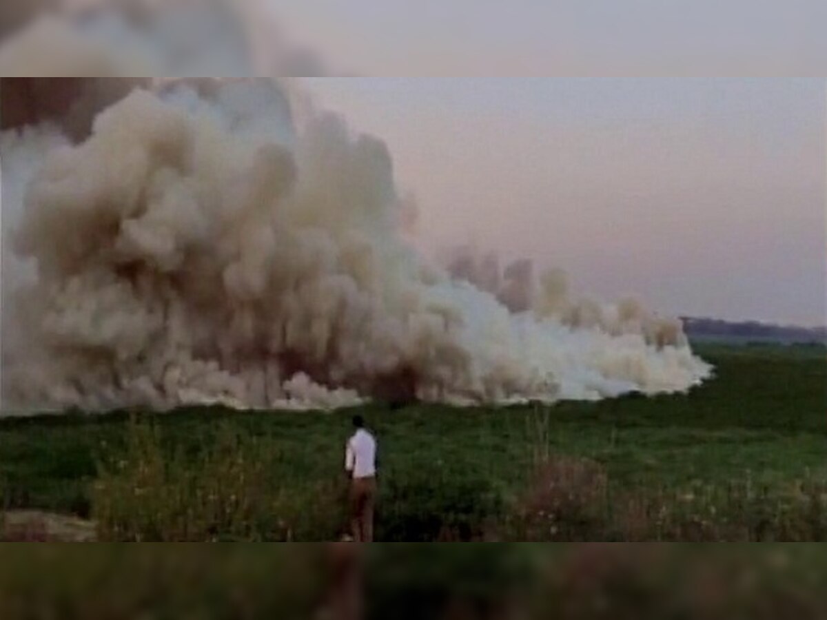 Bengaluru: NGT rejects auto dealers plea to set aside closure order post lake fire