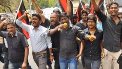 Don't let IIT-Madras become another JNU: BJP national secretary H Raja slams beef fest on campus