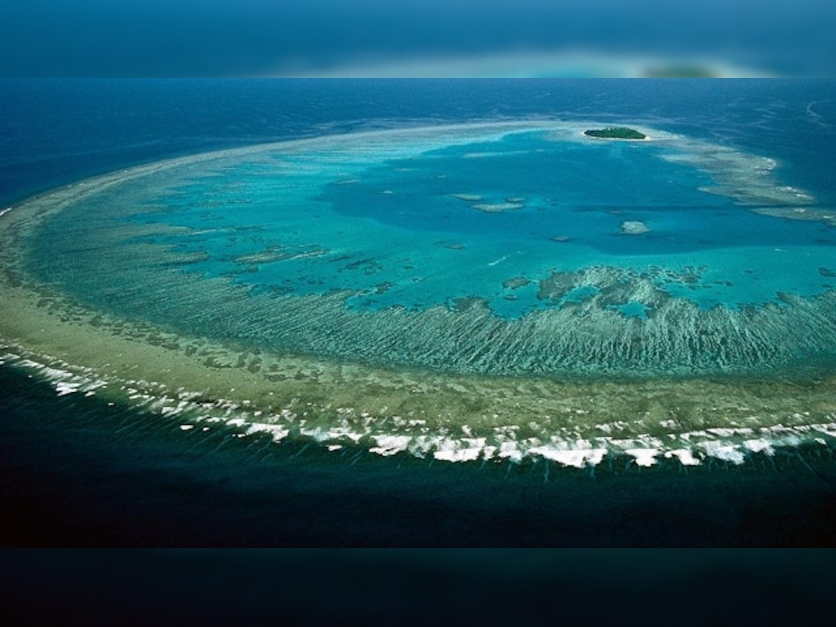 UNESCO: Australia must accelerate its efforts to protect Great Barrier Reef