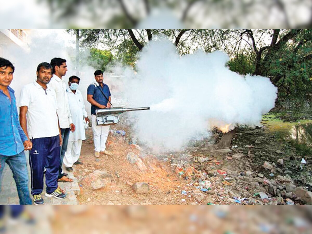 Mosquito menace on rise, but half the posts in civic bodies lie vacant