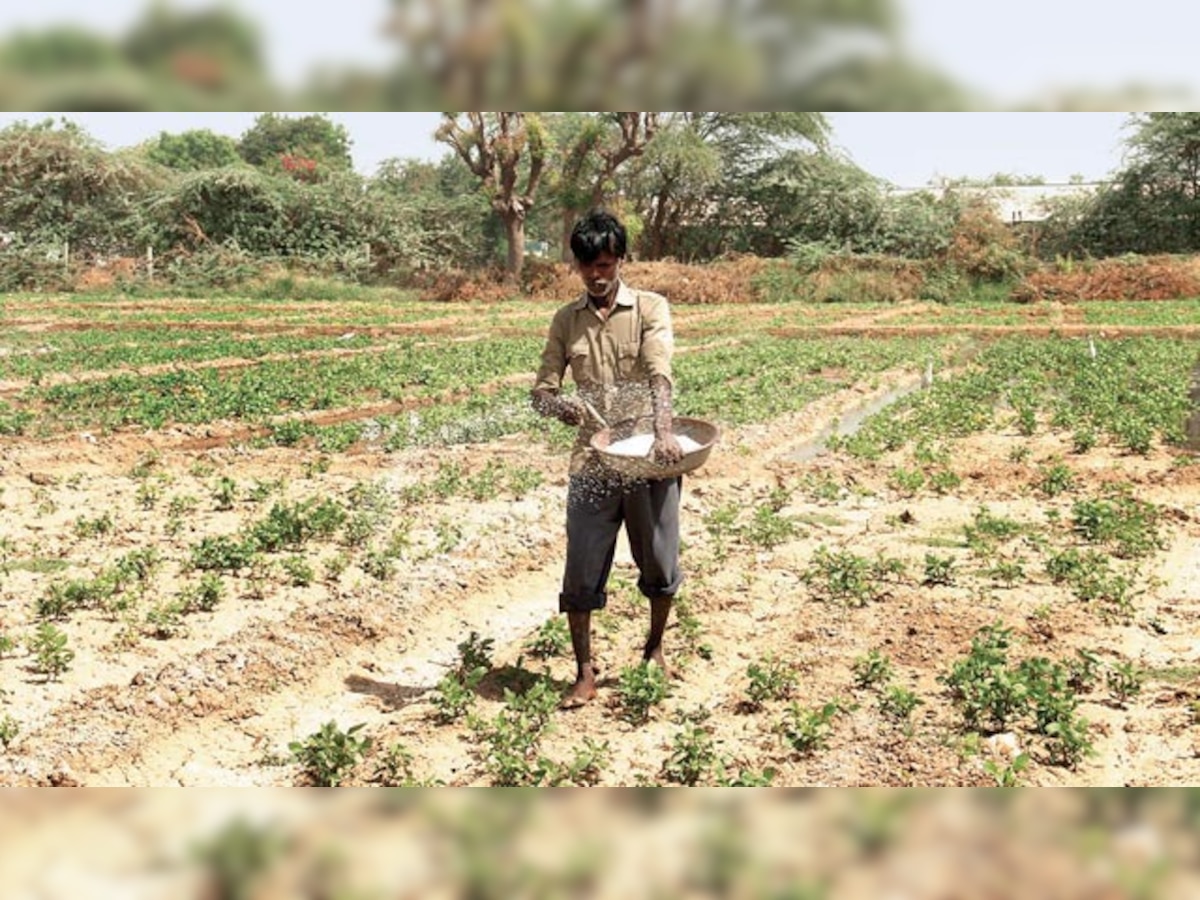 Small farms are eating away farmers’ profits and productivity