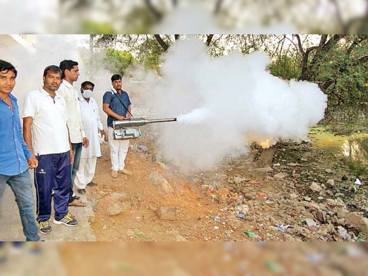 SDMC on alert mode to tackle vector-borne diseases