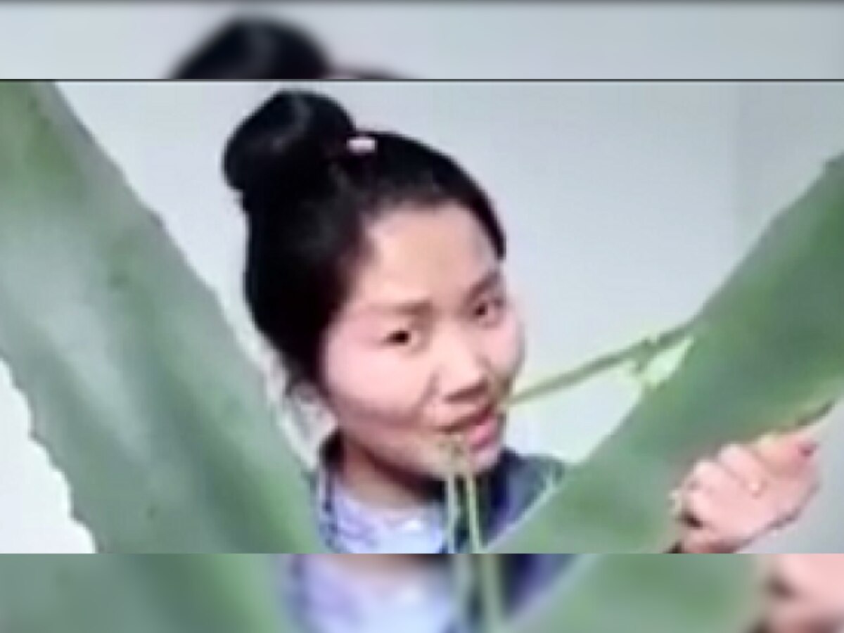 Chinese video blogger accidentally consumes toxic plant resembling aloe vera during livestream; ends up in hospital