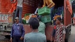 Indore: Vendors deploy armed guards to protect tomatoes!