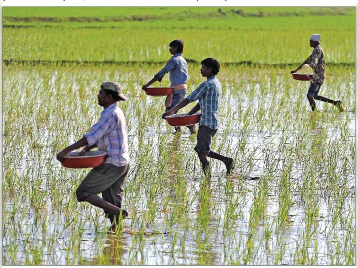 Capitalism isn’t for farmers