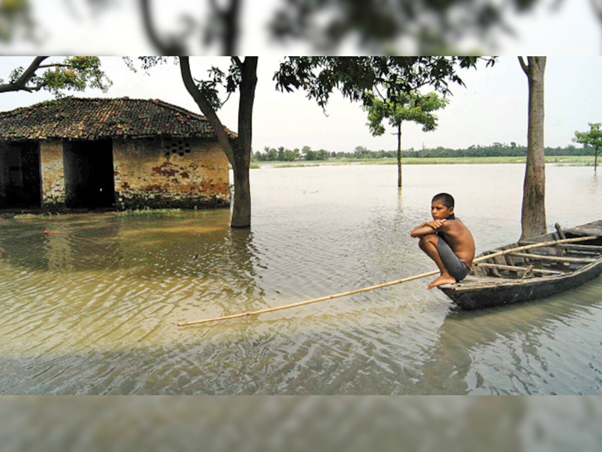 Rats caused floods, claims Bihar water minister