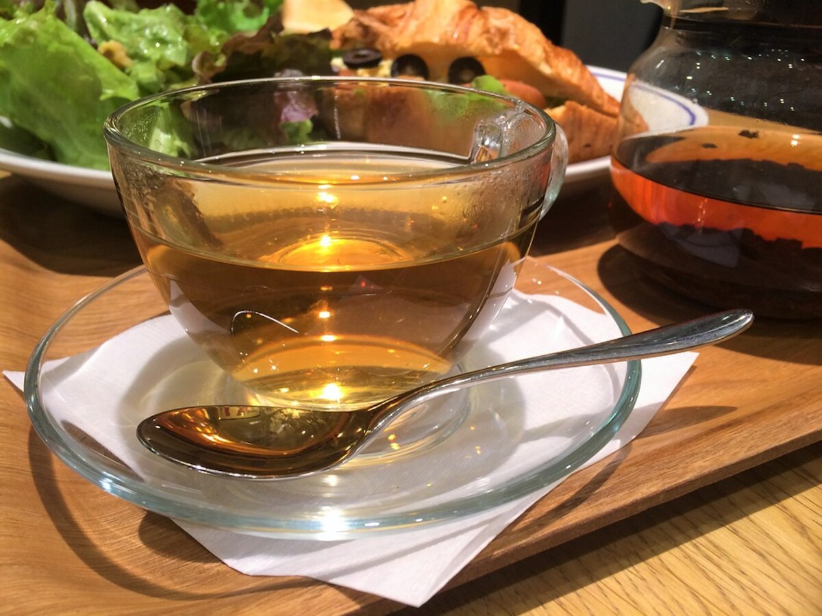 Rajasthan launches world's first processed olive leaf tea