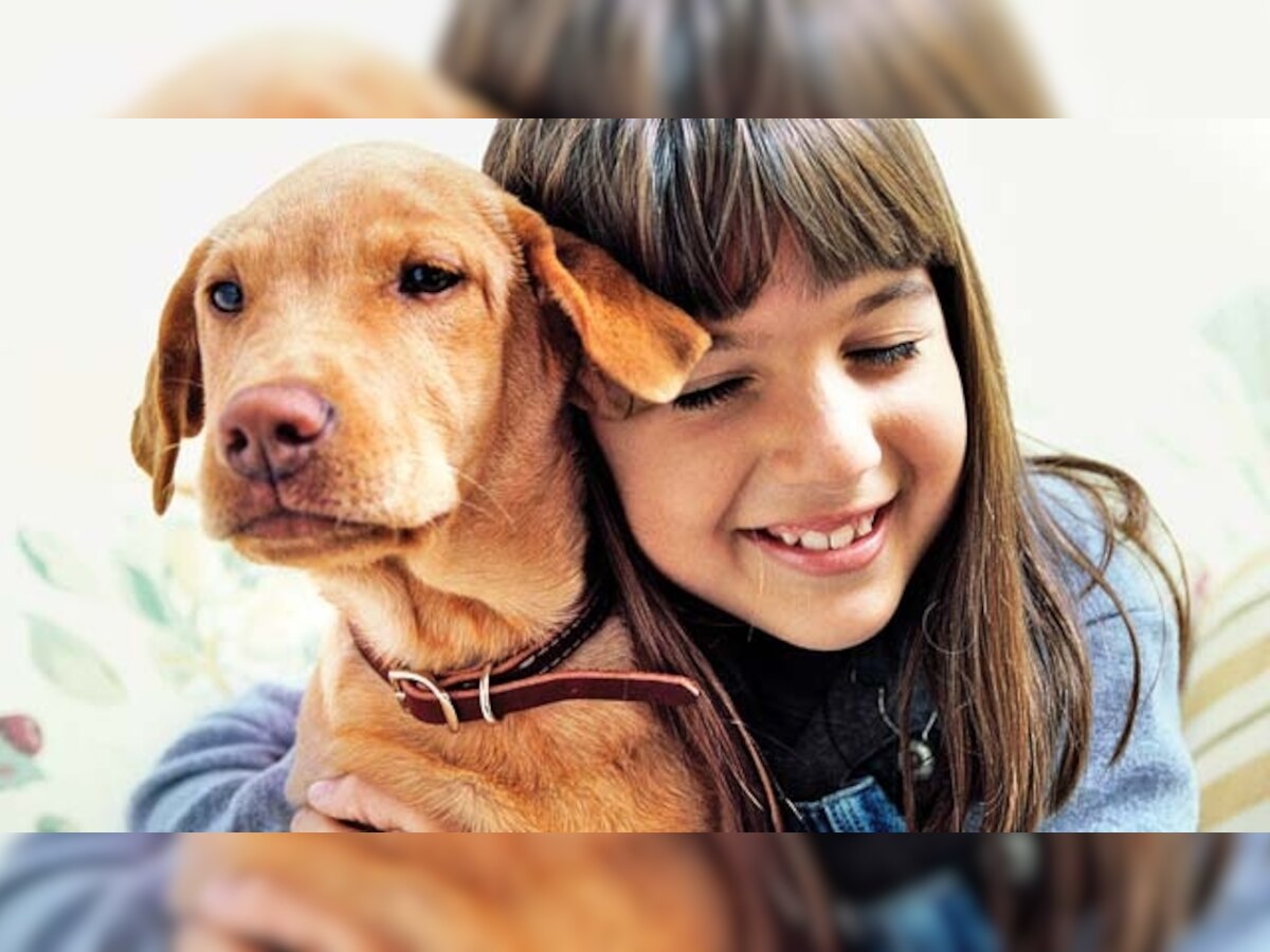 Keeping pets in bedroom helps you sleep better say researchers 