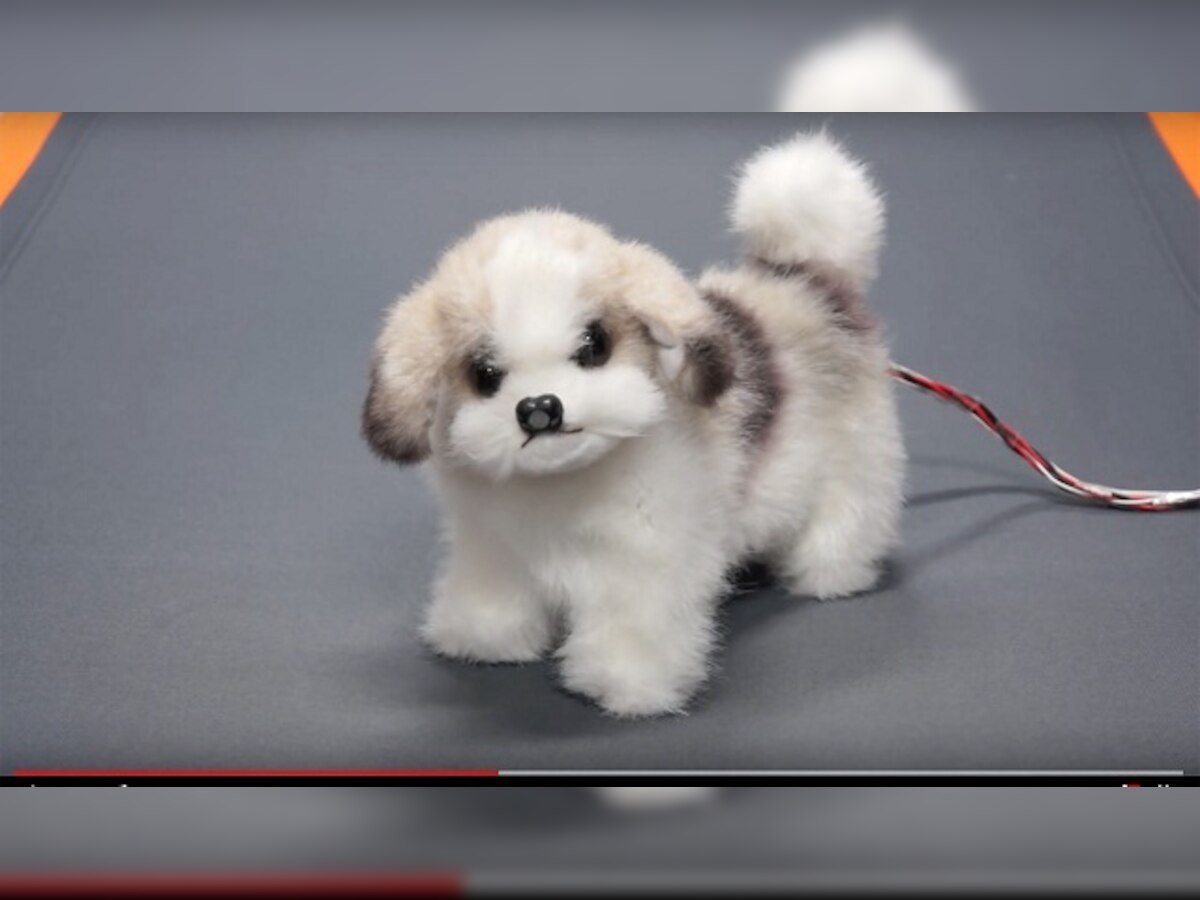 New Japanese robot dog sniffs out smelly feet