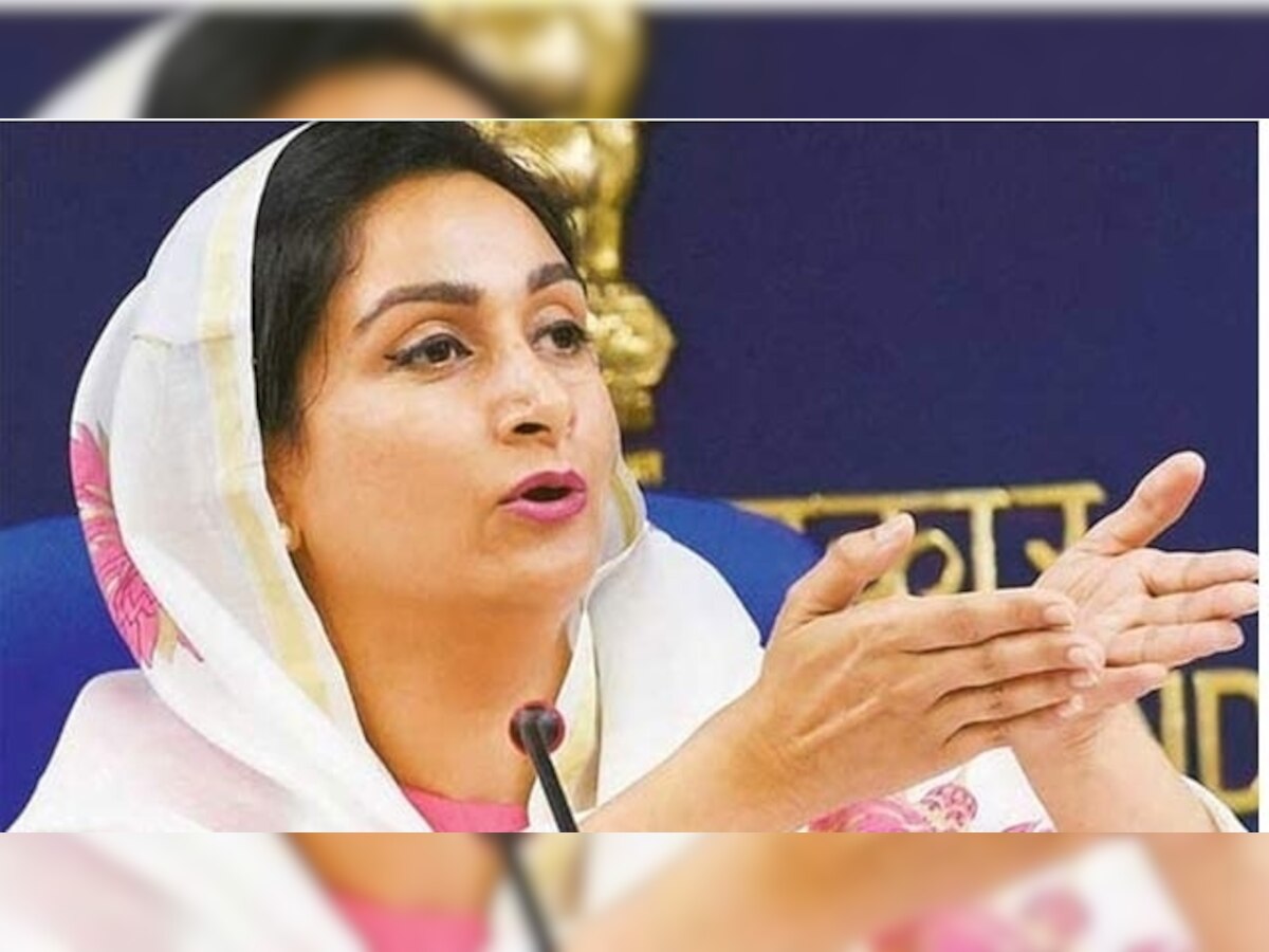 GST teething issues will be solved in three-four months:Union Minister Harsimrat Kaur Badal