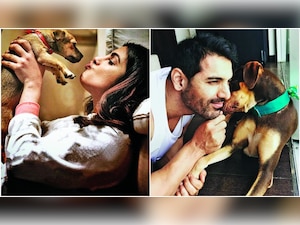 Priyanka Chopra to John Abraham: These pets of B-Town celebs are a huge hit on social media