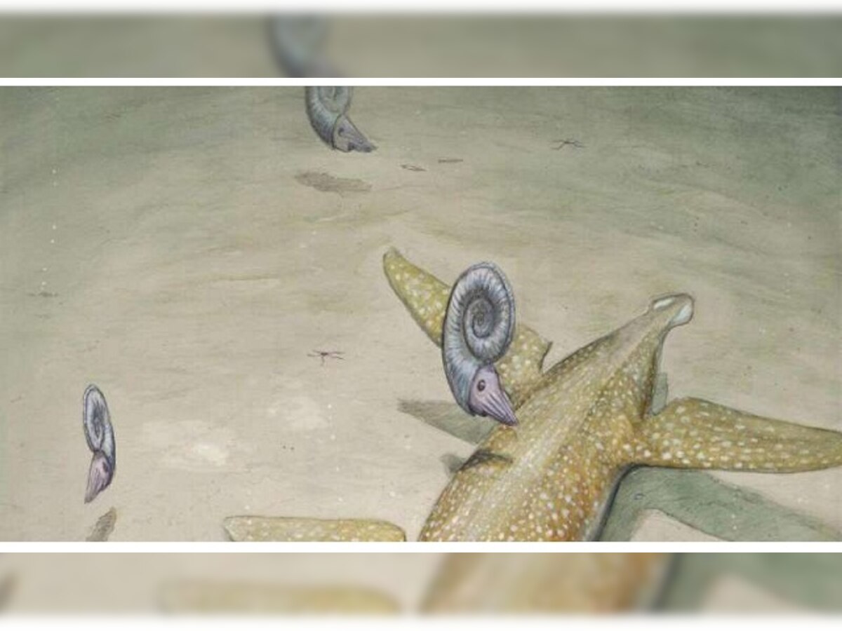 190 million-year-old 'sea monster' identified
