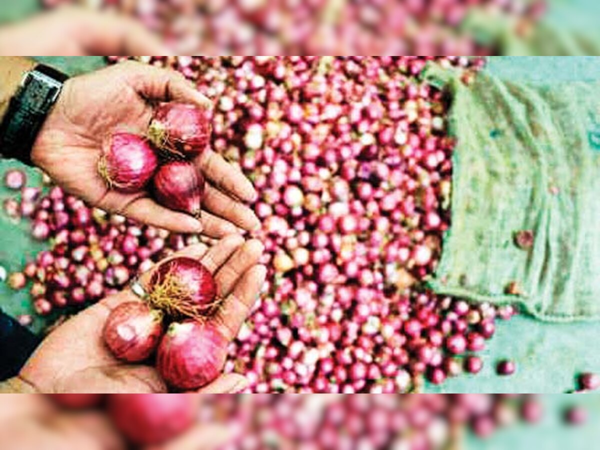 Wholesale onion prices crash 50% in auction after I-T raids