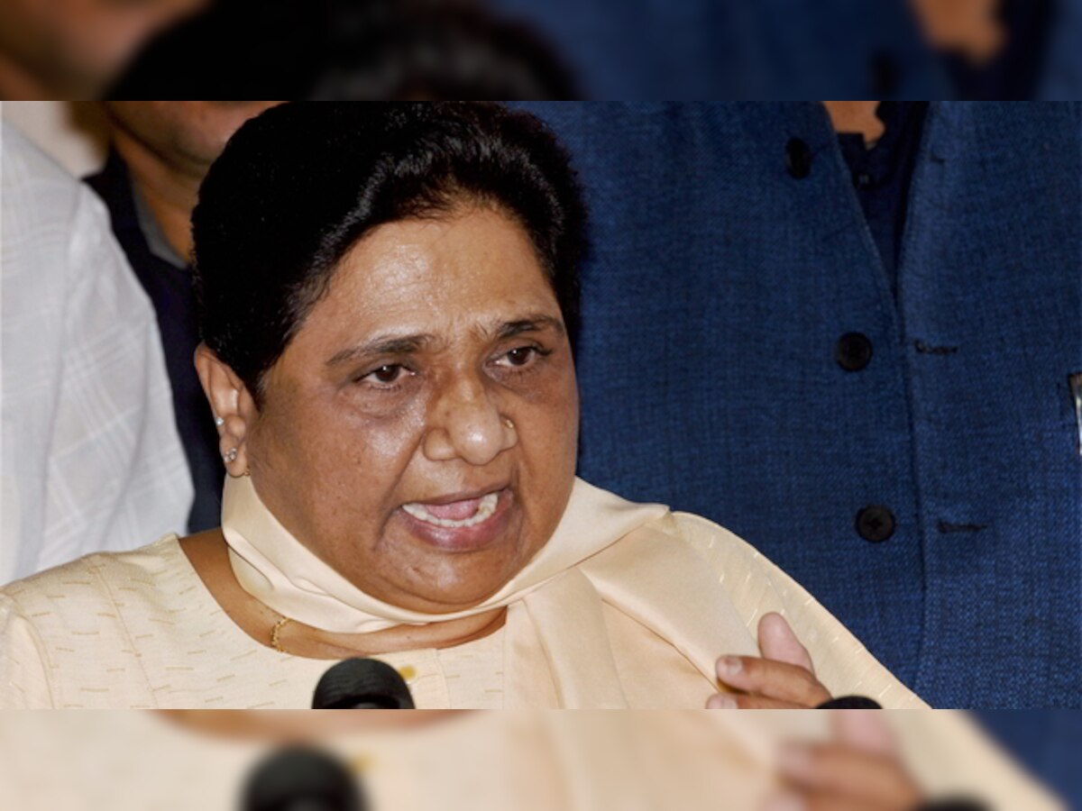 Mayawati brings brother, nephew to the fore at party rally