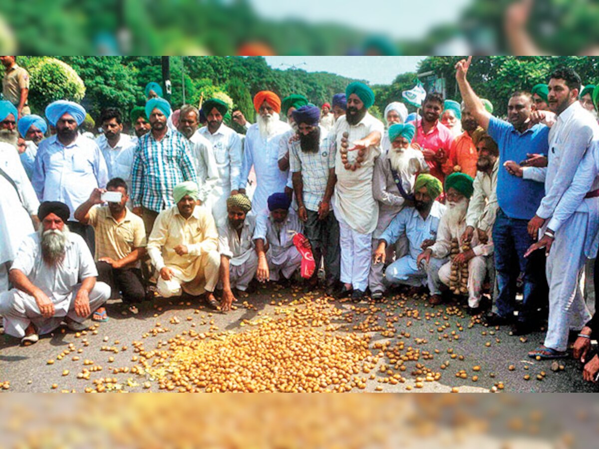 Seven farmers' unions to protest in Punjab CM's constituency today