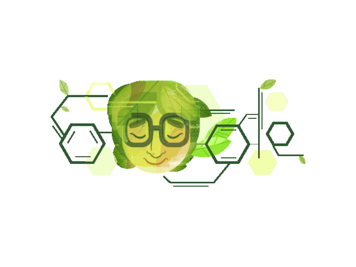 Google honours Indian chemist Dr Asima Chatterjee on 100th birthday with a doodle