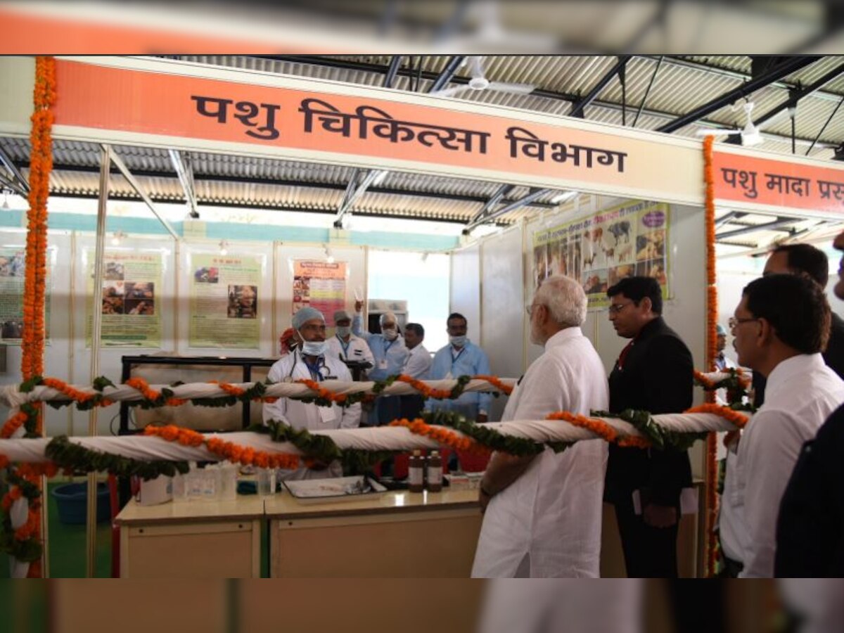 PM Modi inaugurates cattle health fair; witnesses polythene removed from calf in live surgery