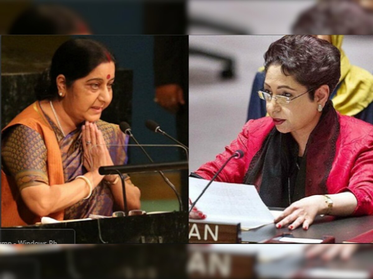 India 'mother of terrorism' in South Asia: Pakistan after Sushma Swaraj's UN speech