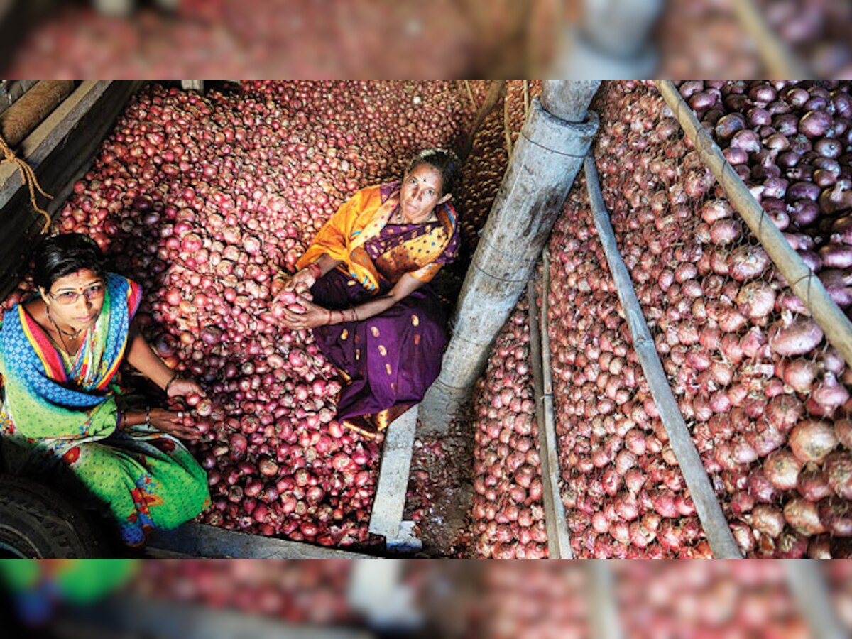 Onion prices in Nashik correct again after fall