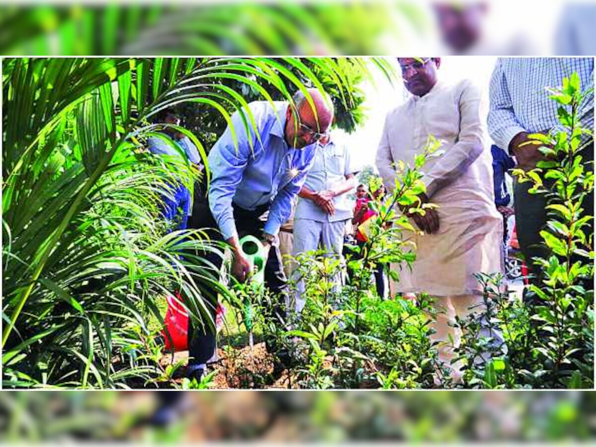 Metro launches Clean & Green drive, distribute 1K saplings