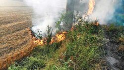 Haryana: 18 farmers booked in Karnal for stubble burning; harming the environment