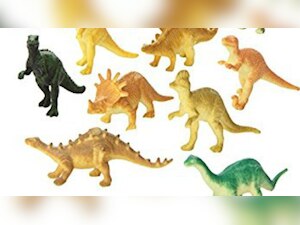 4-year-old boy swallows miniature toy kept inside snack pack; dies