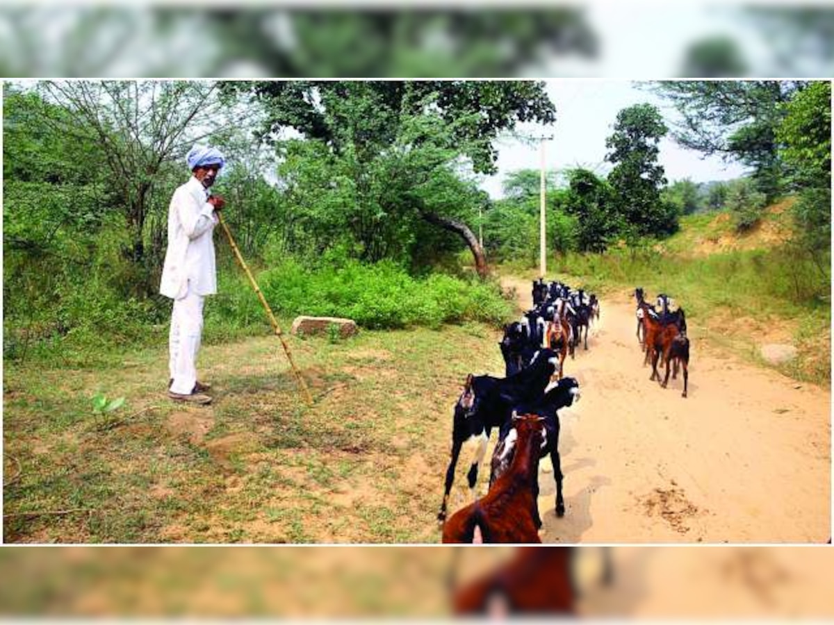 Photo fest to be held at IHC for awareness about Aravallis