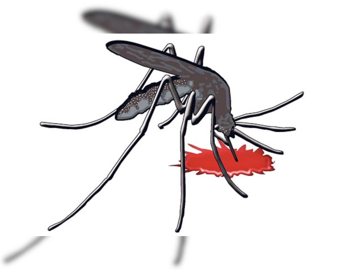 Dengue gallop: 5 doctors send to Kota and Jaipur