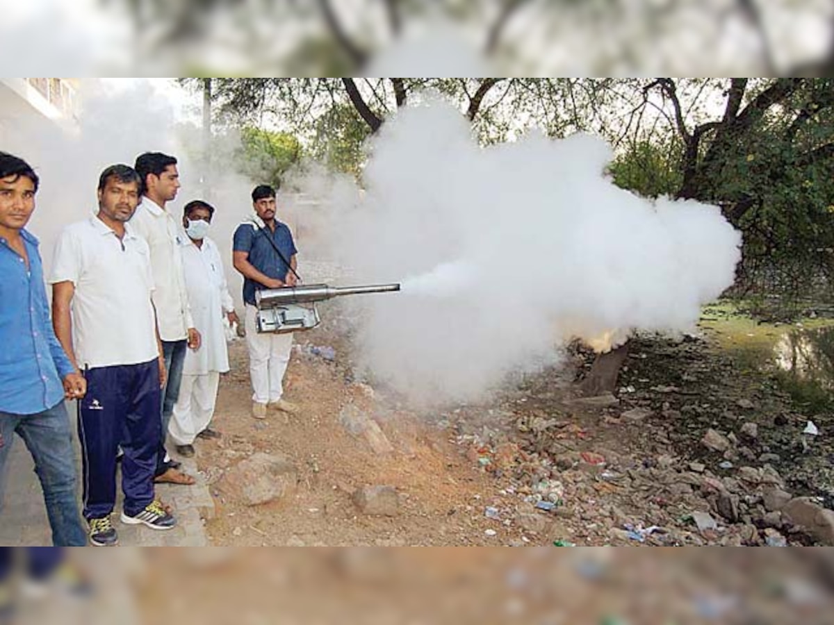 Dengue scare: 3 deaths and over 1,000 cases in Jalgaon